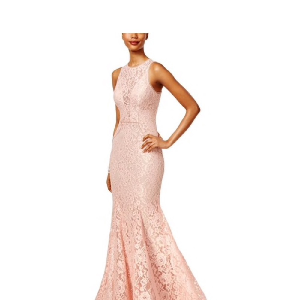 Formal blush lace dress